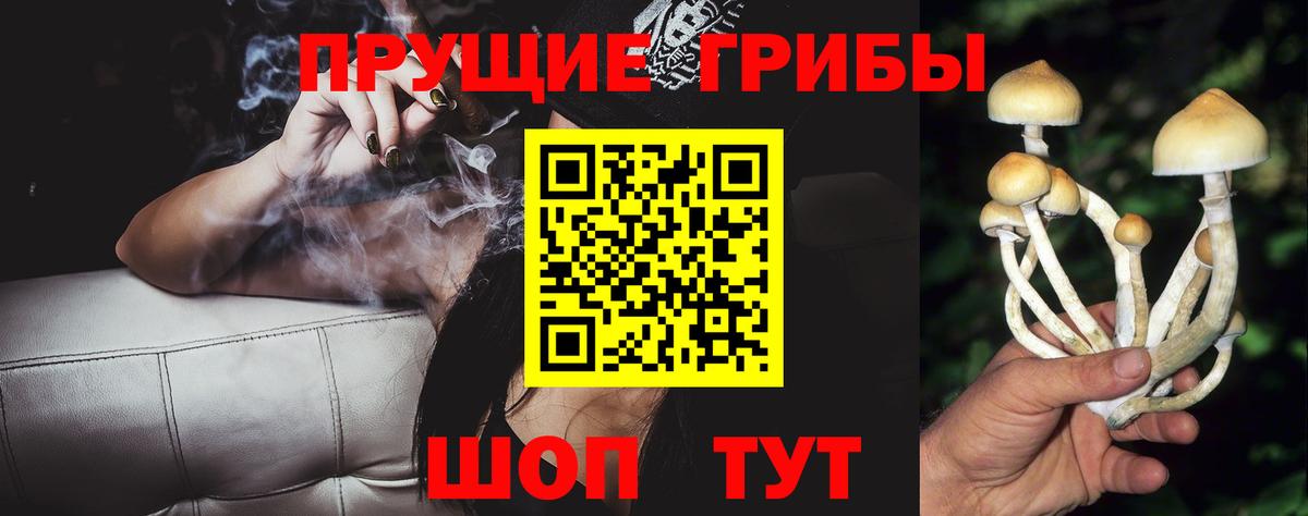 закладка  Псилоцибиновые грибы ЛСД  Вход с VPN  Черемхово 